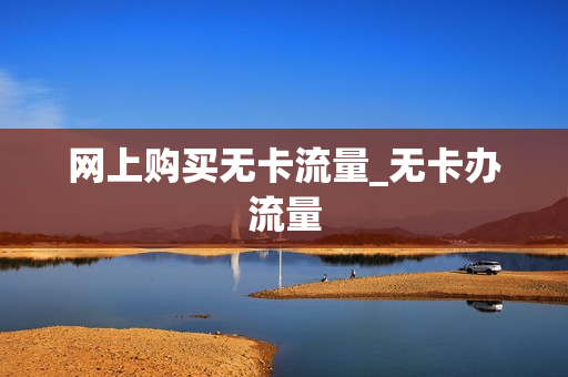 网上购买无卡流量_无卡办流量