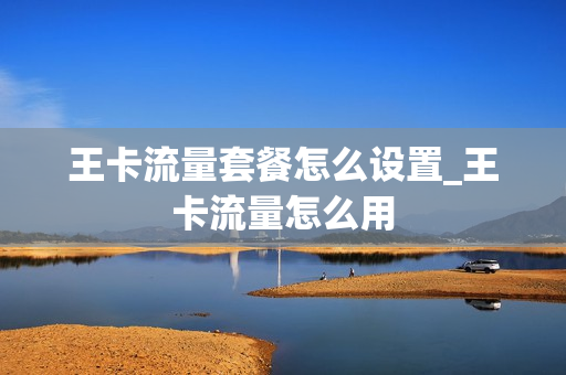 王卡流量套餐怎么设置_王卡流量怎么用