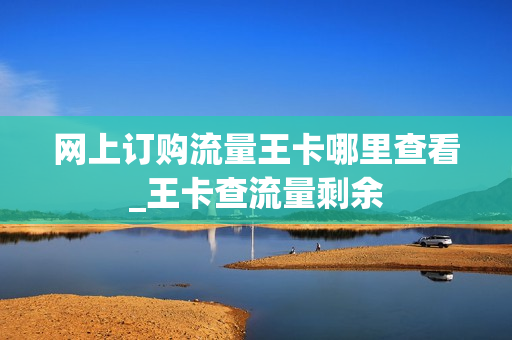 网上订购流量王卡哪里查看_王卡查流量剩余