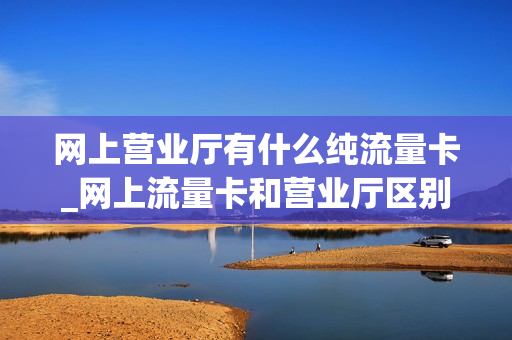 网上营业厅有什么纯流量卡_网上流量卡和营业厅区别