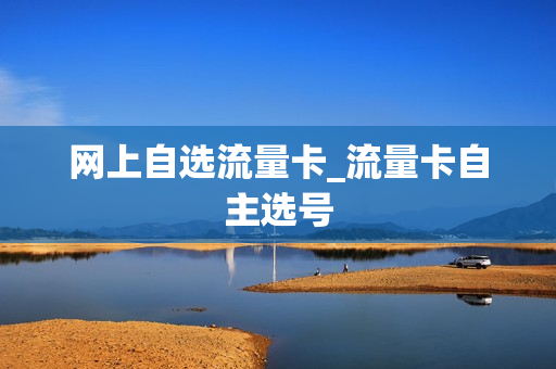 网上自选流量卡_流量卡自主选号