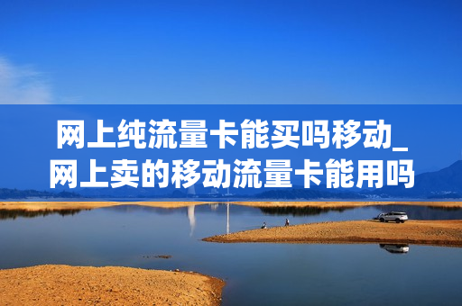 网上纯流量卡能买吗移动_网上卖的移动流量卡能用吗
