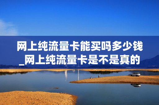 网上纯流量卡能买吗多少钱_网上纯流量卡是不是真的