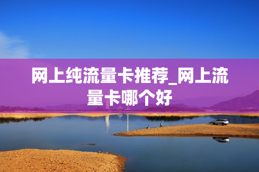 网上纯流量卡推荐_网上流量卡哪个好