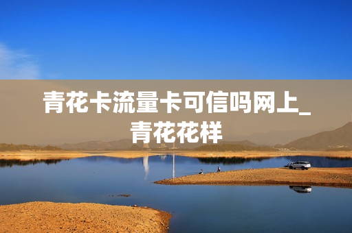 青花卡流量卡可信吗网上_青花花样