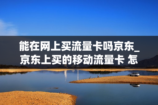 能在网上买流量卡吗京东_京东上买的移动流量卡 怎么样