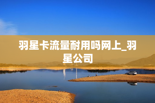 羽星卡流量耐用吗网上_羽星公司