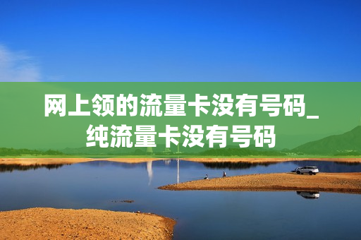网上领的流量卡没有号码_纯流量卡没有号码