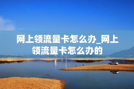 网上领流量卡怎么办_网上领流量卡怎么办的