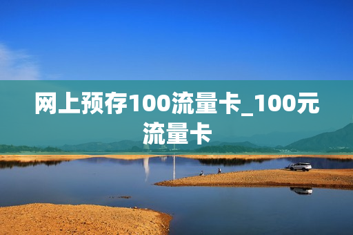 网上预存100流量卡_100元流量卡