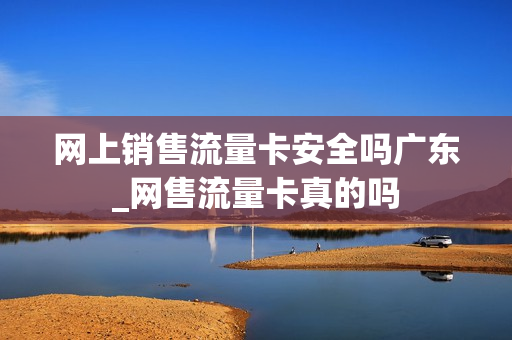 网上销售流量卡安全吗广东_网售流量卡真的吗