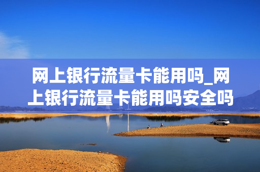 网上银行流量卡能用吗_网上银行流量卡能用吗安全吗