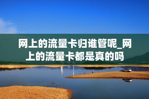 网上的流量卡归谁管呢_网上的流量卡都是真的吗