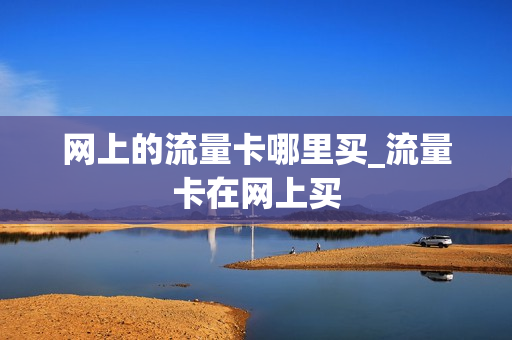 网上的流量卡哪里买_流量卡在网上买