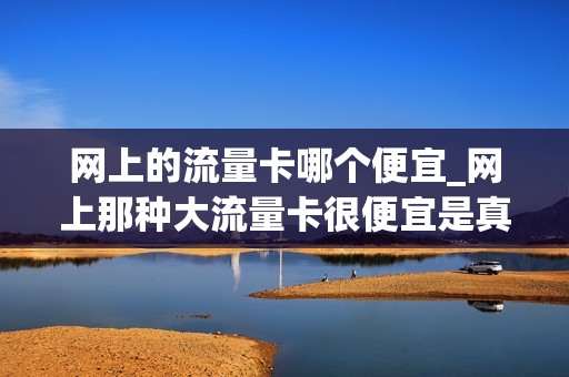 网上的流量卡哪个便宜_网上那种大流量卡很便宜是真的吗