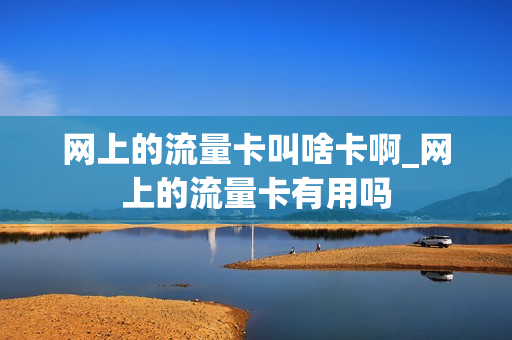 网上的流量卡叫啥卡啊_网上的流量卡有用吗