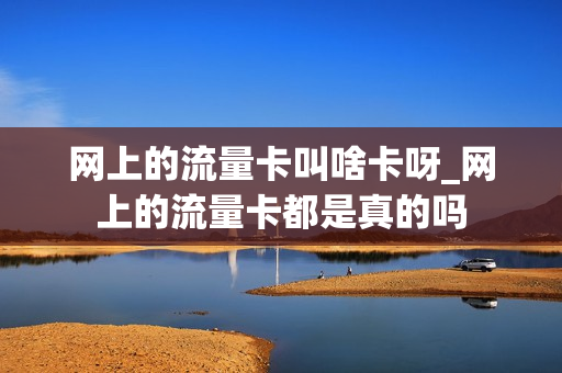 网上的流量卡叫啥卡呀_网上的流量卡都是真的吗