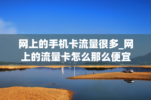 网上的手机卡流量很多_网上的流量卡怎么那么便宜
