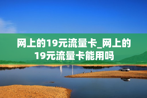 网上的19元流量卡_网上的19元流量卡能用吗