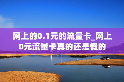 网上的0.1元的流量卡_网上0元流量卡真的还是假的