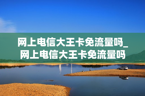 网上电信大王卡免流量吗_网上电信大王卡免流量吗