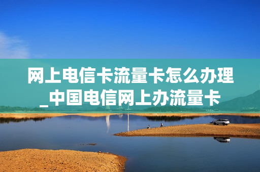 网上电信卡流量卡怎么办理_中国电信网上办流量卡