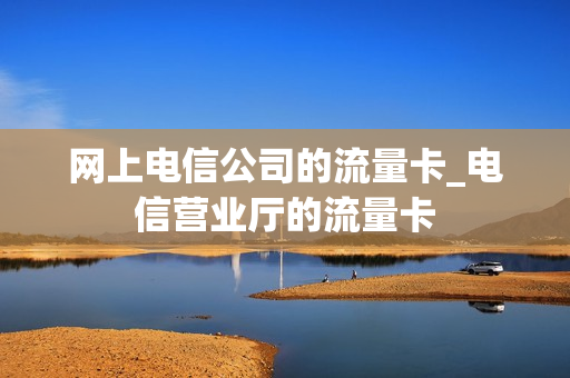 网上电信公司的流量卡_电信营业厅的流量卡