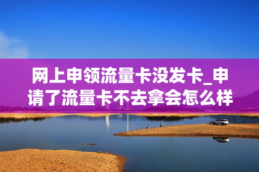 网上申领流量卡没发卡_申请了流量卡不去拿会怎么样