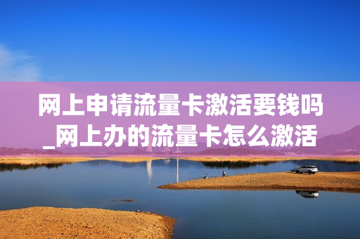 网上申请流量卡激活要钱吗_网上办的流量卡怎么激活