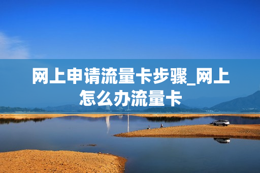 网上申请流量卡步骤_网上怎么办流量卡