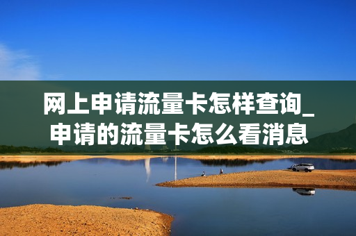 网上申请流量卡怎样查询_申请的流量卡怎么看消息