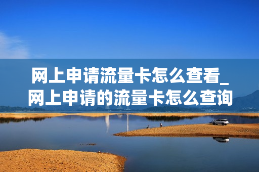 网上申请流量卡怎么查看_网上申请的流量卡怎么查询订单