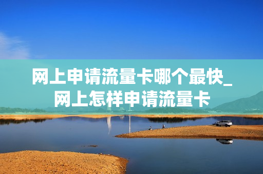 网上申请流量卡哪个最快_网上怎样申请流量卡