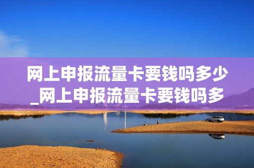 网上申报流量卡要钱吗多少_网上申报流量卡要钱吗多少钱一张