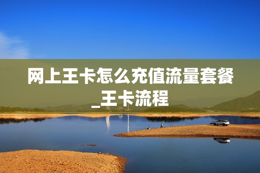 网上王卡怎么充值流量套餐_王卡流程