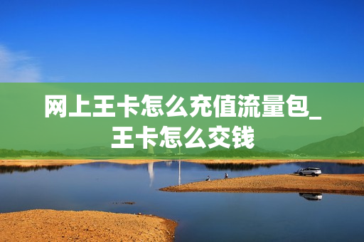 网上王卡怎么充值流量包_王卡怎么交钱
