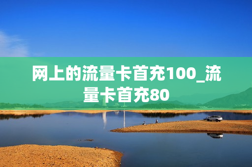 网上的流量卡首充100_流量卡首充80
