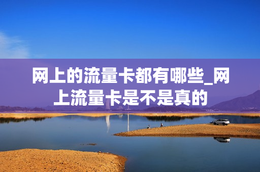 网上的流量卡都有哪些_网上流量卡是不是真的