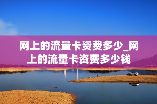 网上的流量卡资费多少_网上的流量卡资费多少钱
