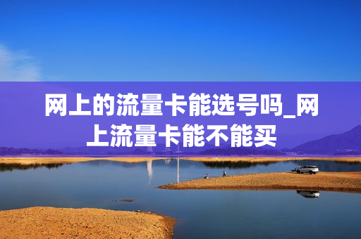 网上的流量卡能选号吗_网上流量卡能不能买