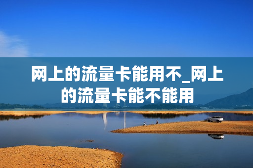 网上的流量卡能用不_网上的流量卡能不能用