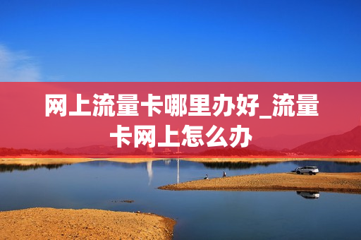 网上流量卡哪里办好_流量卡网上怎么办