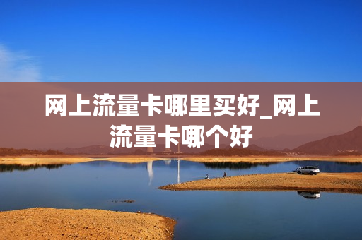 网上流量卡哪里买好_网上流量卡哪个好