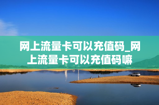 网上流量卡可以充值码_网上流量卡可以充值码嘛