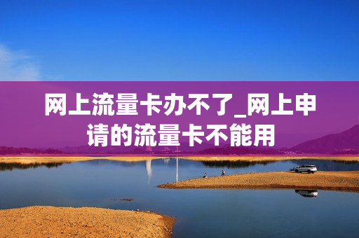 网上流量卡办不了_网上申请的流量卡不能用
