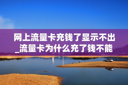 网上流量卡充钱了显示不出_流量卡为什么充了钱不能用流量