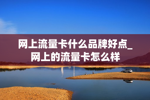 网上流量卡什么品牌好点_网上的流量卡怎么样