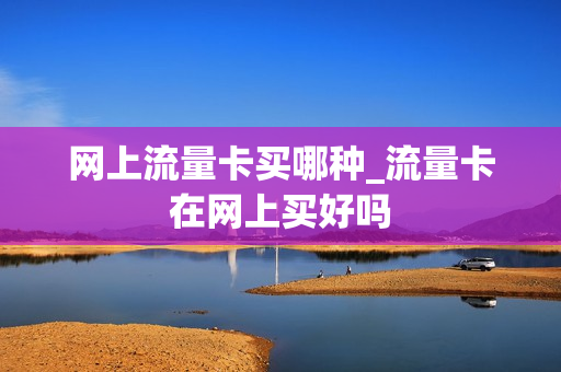 网上流量卡买哪种_流量卡在网上买好吗