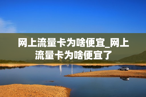 网上流量卡为啥便宜_网上流量卡为啥便宜了