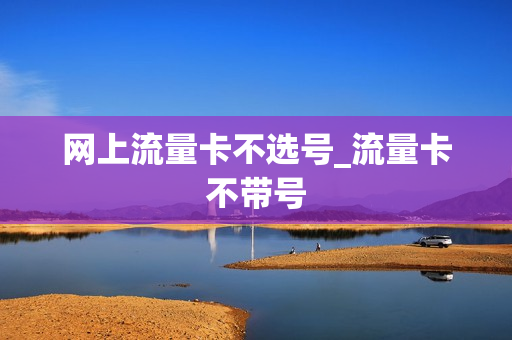 网上流量卡不选号_流量卡不带号
